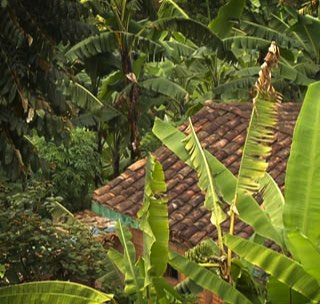 roofs in Rwanda